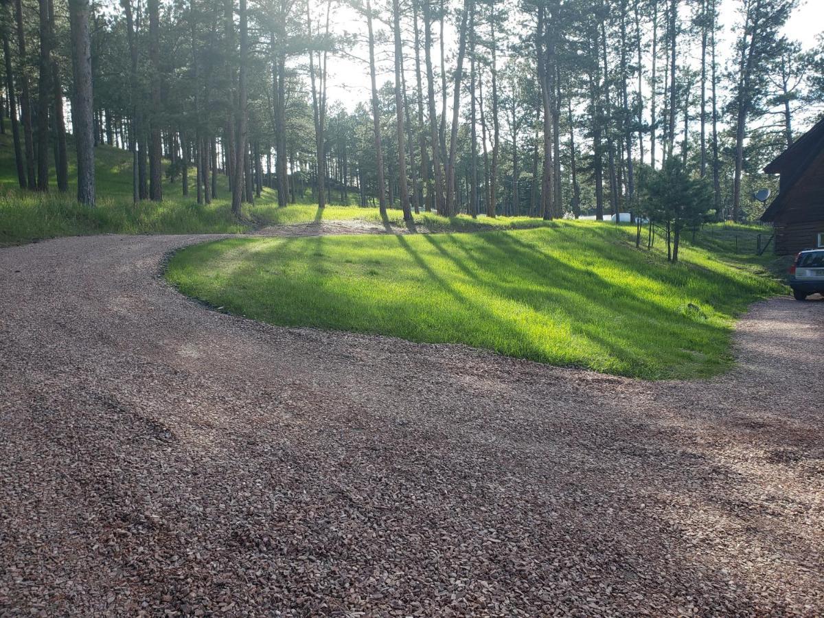 Mickelson Trail Treehouse Suite In The Heart Of The Beautiful Black Hills Hill City Εξωτερικό φωτογραφία